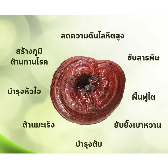 HAPNES เห็ดหลินจือผสม 30 แคปซูล 5 กล่อง HAPNES เห็ดหลินจือผสม 30 แคปซูล 5 กล่อง