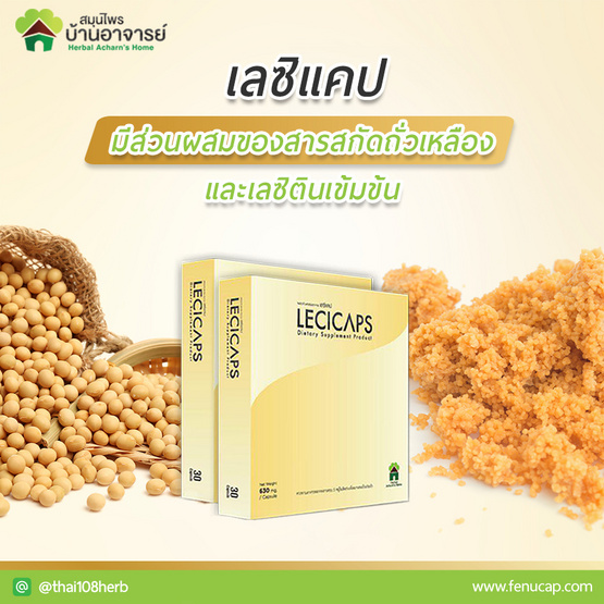 ฟีนูแคปพลัส 2 กระปุก (100 แคปซูล/กระปุก) และ เลซิแคป 2 กล่อง (30 แคปซูล) ฟีนูแคปพลัส 2 กระปุก (100 แคปซูล/กระปุก) และ เลซิแคป 2 กล่อง (30 แคปซูล)