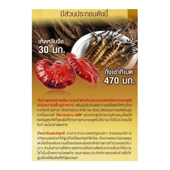 Cordy plus 1 คอร์ดี้พลัส 1 จำนวน 60 แคปซูล แถม เห็ดหลินจือแดงสกัด 500 mg. 1 กล่อง Cordy plus 1 คอร์ดี้พลัส 1 จำนวน 60 แคปซูล แถม เห็ดหลินจือแดงสกัด 500 mg. 1 กล่อง
