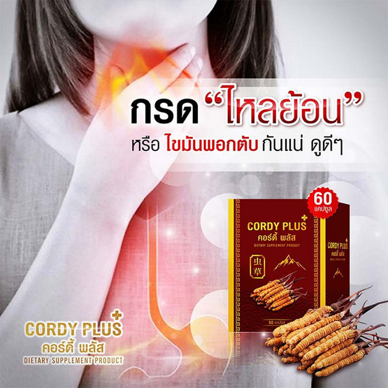 Cordy plus 1 คอร์ดี้พลัส 1 จำนวน 60 แคปซูล แถม เห็ดหลินจือแดงสกัด 500 mg. 1 กล่อง Cordy plus 1 คอร์ดี้พลัส 1 จำนวน 60 แคปซูล แถม เห็ดหลินจือแดงสกัด 500 mg. 1 กล่อง