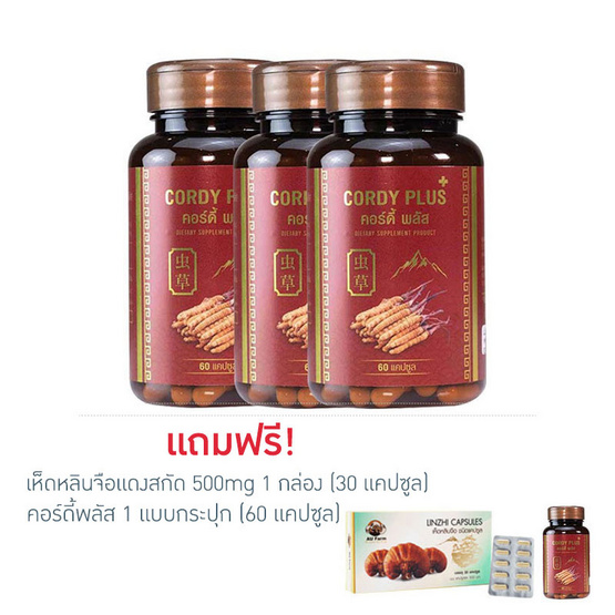 Cordy plus 1 คอร์ดี้พลัส 1 แพ็ค 3 กระปุก (60 แคปซูล/กระปุก) Cordy plus 1 คอร์ดี้พลัส 1 แพ็ค 3 กระปุก (60 แคปซูล/กระปุก)