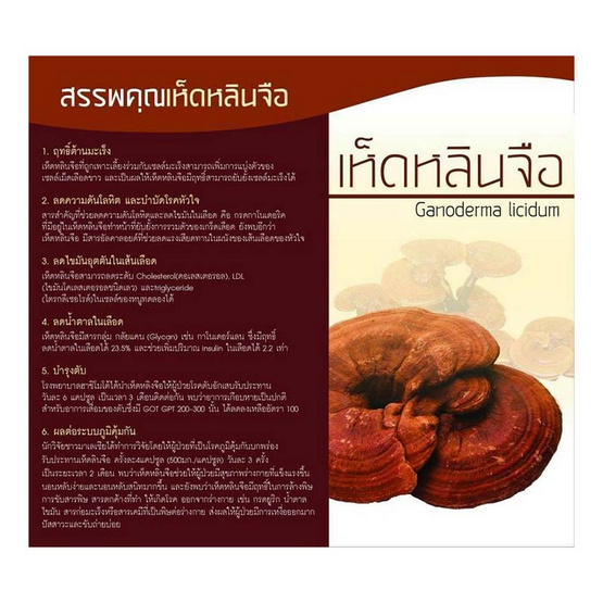 Donutt หลินจือพลัสชิตาเกะ 30 แคปซูล 6 กล่อง แถมกาแฟผสมถั่งเช่าและสารสกัดเห็ดหลินจือ 1 กล่อง Donutt หลินจือพลัสชิตาเกะ 30 แคปซูล 6 กล่อง แถมกาแฟผสมถั่งเช่าและสารสกัดเห็ดหลินจือ 1 กล่อง