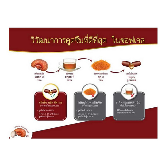 Donutt หลินจือพลัสชิตาเกะ 30 แคปซูล 6 กล่อง แถมกาแฟผสมถั่งเช่าและสารสกัดเห็ดหลินจือ 1 กล่อง Donutt หลินจือพลัสชิตาเกะ 30 แคปซูล 6 กล่อง แถมกาแฟผสมถั่งเช่าและสารสกัดเห็ดหลินจือ 1 กล่อง