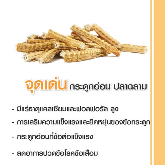 Donutt คอลลาเจนไตรเปปไทด์ พลัส 10 ซอง 4 กล่อง Donutt คอลลาเจนไตรเปปไทด์ พลัส 10 ซอง 4 กล่อง