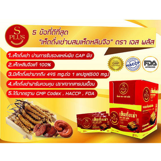 S Plus เห็ดถั่งเช่าผสมเห็ดหลินจือ 1แพ็ค 12 ซอง (2 แคปซูล/ซอง) S Plus เห็ดถั่งเช่าผสมเห็ดหลินจือ 1แพ็ค 12 ซอง (2 แคปซูล/ซอง)