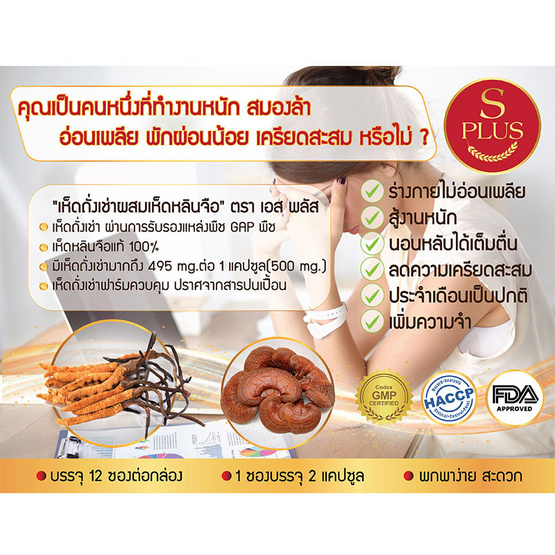 S Plus เห็ดถั่งเช่าผสมเห็ดหลินจือ 1แพ็ค 12 ซอง (2 แคปซูล/ซอง) S Plus เห็ดถั่งเช่าผสมเห็ดหลินจือ 1แพ็ค 12 ซอง (2 แคปซูล/ซอง)