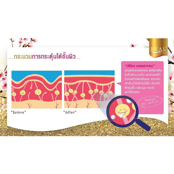 Real Elixir Pure Collagen (เพียว คอลลาเจน) 50 กรัม(50,000 มก.) Real Elixir Pure Collagen (เพียว คอลลาเจน) 50 กรัม(50,000 มก.)