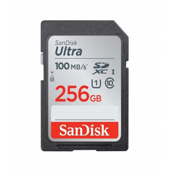  SanDisk    SD  Card  Ultra  256  GB ShopAt24 com