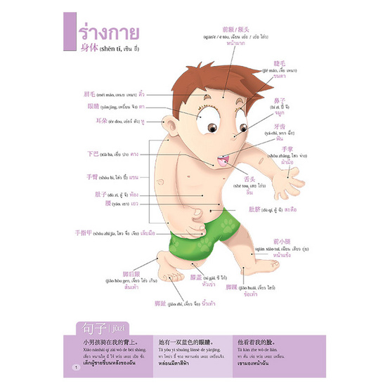ศัพท์จีนกลาง 1000 คำศัพท์และประโยค (ปกแข็ง) ศัพท์จีนกลาง 1000 คำศัพท์และประโยค (ปกแข็ง)