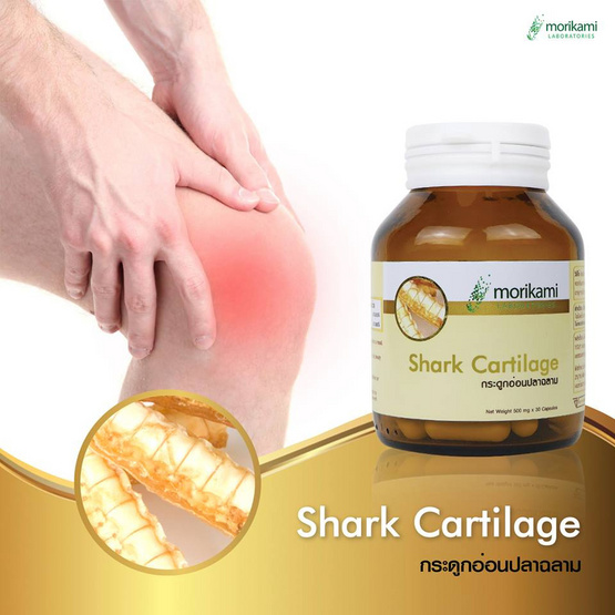 Morikami กระดูกอ่อนปลาฉลาม (Shark Cartilage) บรรจุ 30 แคปซูล ซื้อ 1 แถม 1 Morikami กระดูกอ่อนปลาฉลาม (Shark Cartilage) บรรจุ 30 แคปซูล ซื้อ 1 แถม 1