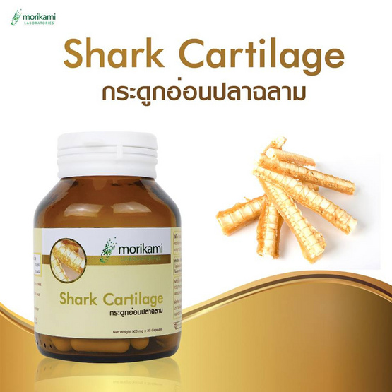 Morikami กระดูกอ่อนปลาฉลาม (Shark Cartilage) บรรจุ 30 แคปซูล ซื้อ 1 แถม 1 Morikami กระดูกอ่อนปลาฉลาม (Shark Cartilage) บรรจุ 30 แคปซูล ซื้อ 1 แถม 1