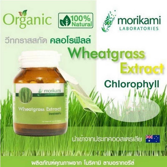 Morikami ซื้อ 1 แถม 1 Wheatgrass Extract 500 mg. วีทกราสสกัด 500 มก. บรรจุ 30 แคปซูล Morikami ซื้อ 1 แถม 1 Wheatgrass Extract 500 mg. วีทกราสสกัด 500 มก. บรรจุ 30 แคปซูล