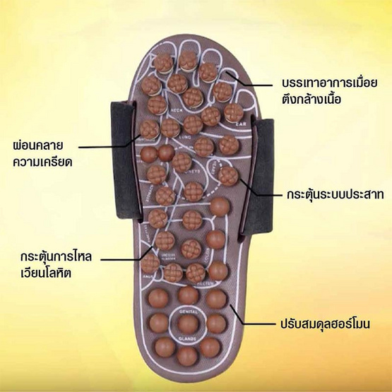 TV Direct Genki Deluxe Slipper Massage สลิปเปอร์เพื่อสุขภาพ ไซส์ S แถมฟรี ไซส์ M TV Direct Genki Deluxe Slipper Massage สลิปเปอร์เพื่อสุขภาพ ไซส์ S แถมฟรี ไซส์ M