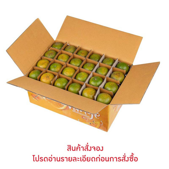สวนร่มเกล้า ส้มสายน้ำผึ้ง 10 kg สวนร่มเกล้า ส้มสายน้ำผึ้ง 10 kg