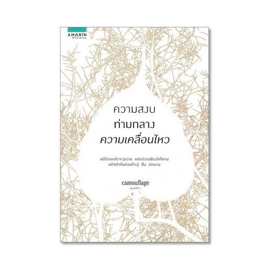 ความสงบท่ามกลางความเคลื่อนไหว ความสงบท่ามกลางความเคลื่อนไหว