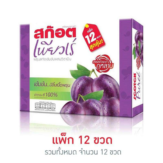 สก๊อต เพียวเร่ พรุนสกัดเข้มข้น 42 มล. (แพ็ก 12 ขวด) สก๊อต เพียวเร่ พรุนสกัดเข้มข้น 42 มล. (แพ็ก 12 ขวด)