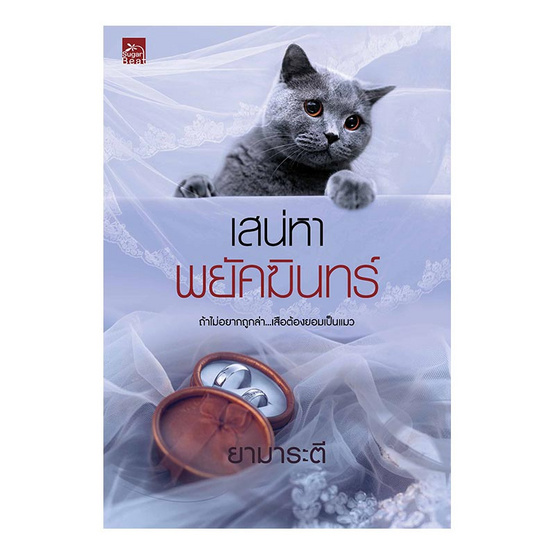 เสน่หาพยัคฆินทร์ เสน่หาพยัคฆินทร์