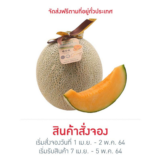 เมล่อนฮอกไกโด เกรดพรีเมี่ยม 1 ลูก เมล่อนฮอกไกโด เกรดพรีเมี่ยม 1 ลูก
