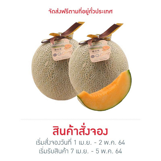 เมล่อนฮอกไกโด เกรดพรีเมี่ยม 2 ลูก เมล่อนฮอกไกโด เกรดพรีเมี่ยม 2 ลูก
