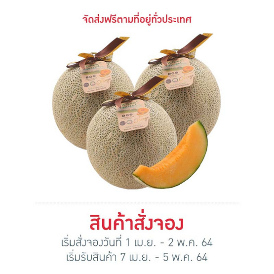 เมล่อนฮอกไกโด เกรดพรีเมี่ยม 3 ลูก เมล่อนฮอกไกโด เกรดพรีเมี่ยม 3 ลูก