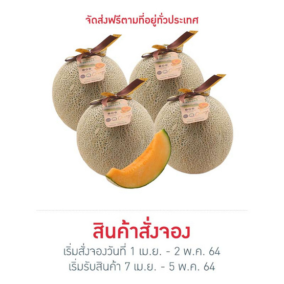 เมล่อนฮอกไกโด เกรดพรีเมี่ยม 4 ลูก เมล่อนฮอกไกโด เกรดพรีเมี่ยม 4 ลูก