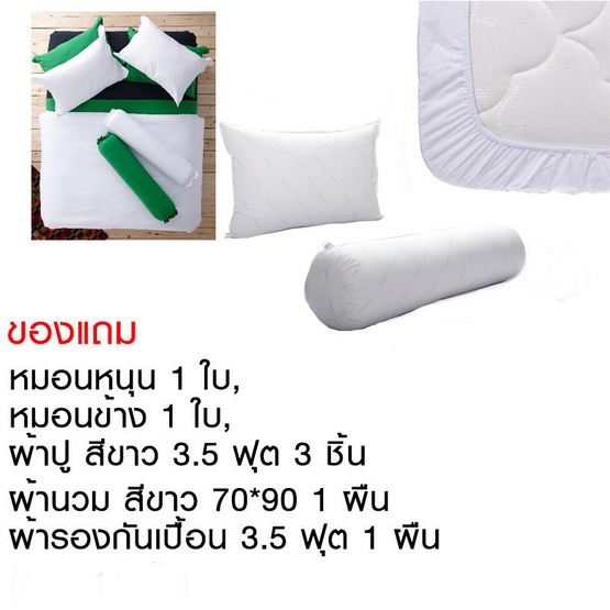 Lotus ที่นอน รุ่น O-Season Plus Lotus ที่นอน รุ่น O-Season Plus